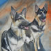 Wencel's German Shepherds